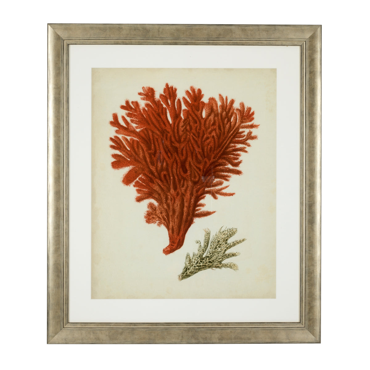 Silver Frame Prints (6) Red Corals | Eichholtz Miami