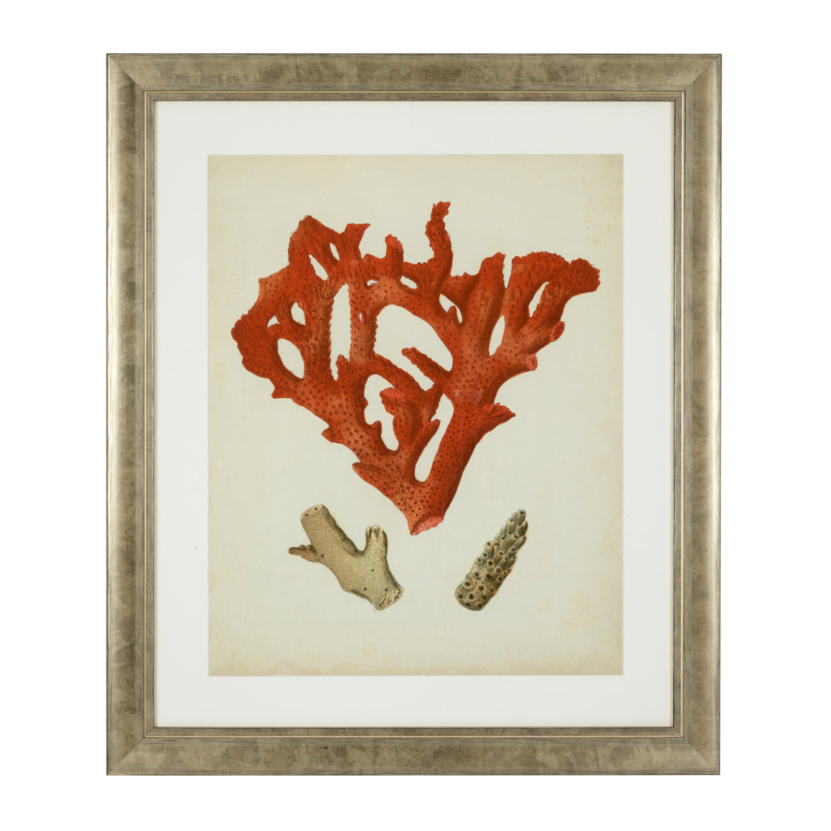 Silver Frame Prints (6) Red Corals | Eichholtz Miami