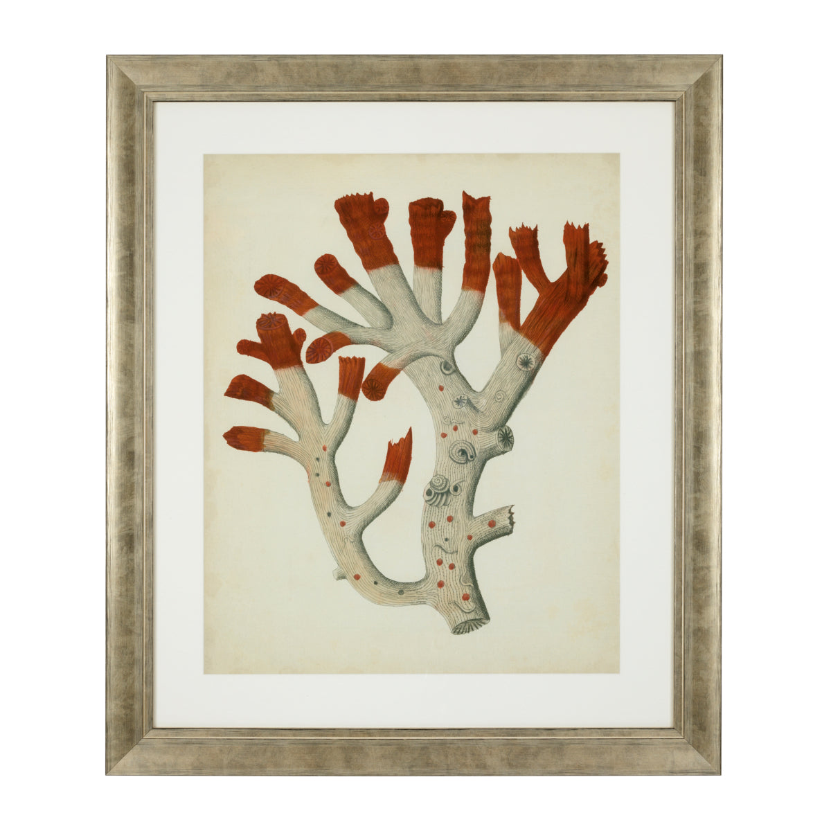 Silver Frame Prints (6) Red Corals | Eichholtz Miami