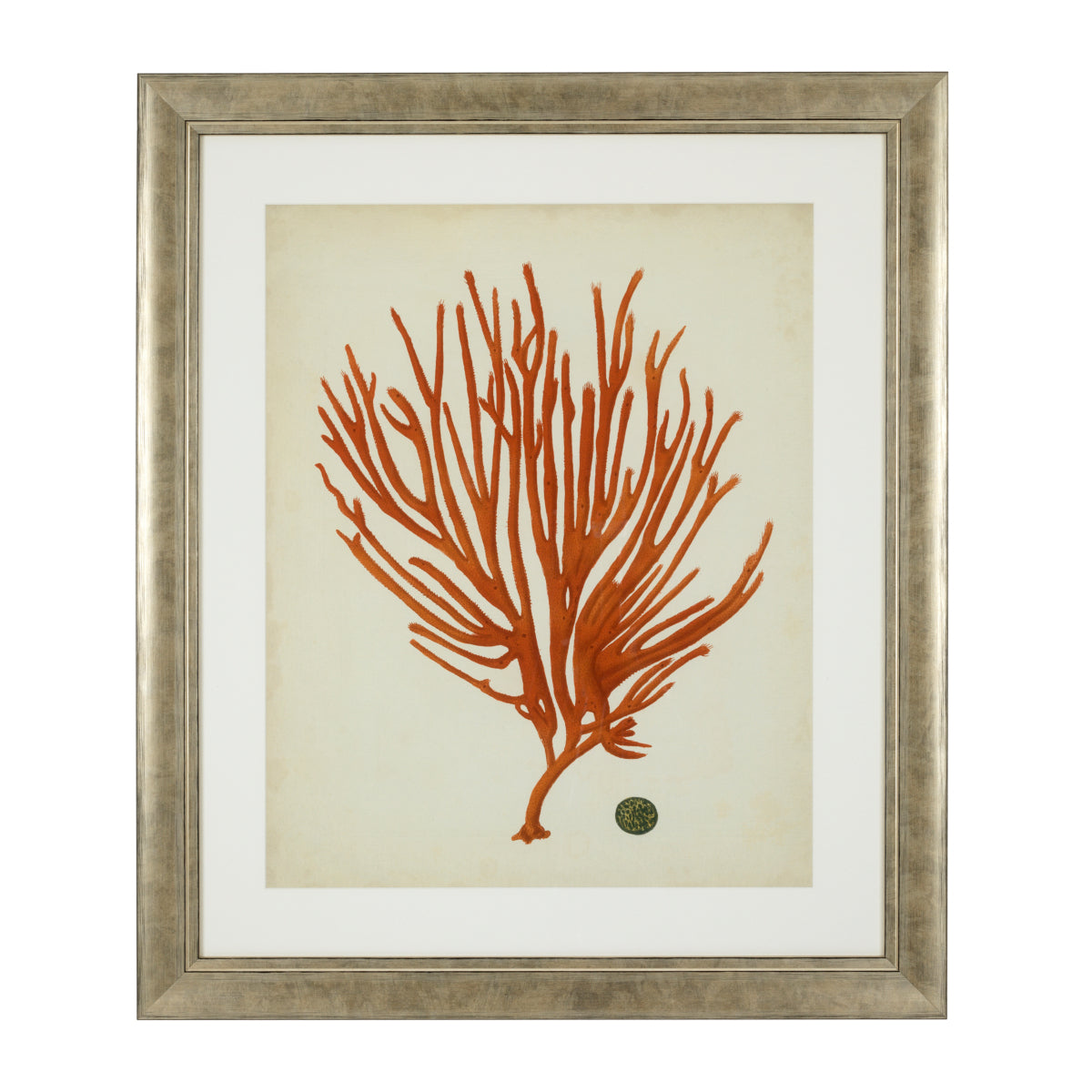Silver Frame Prints (6) Red Corals | Eichholtz Miami