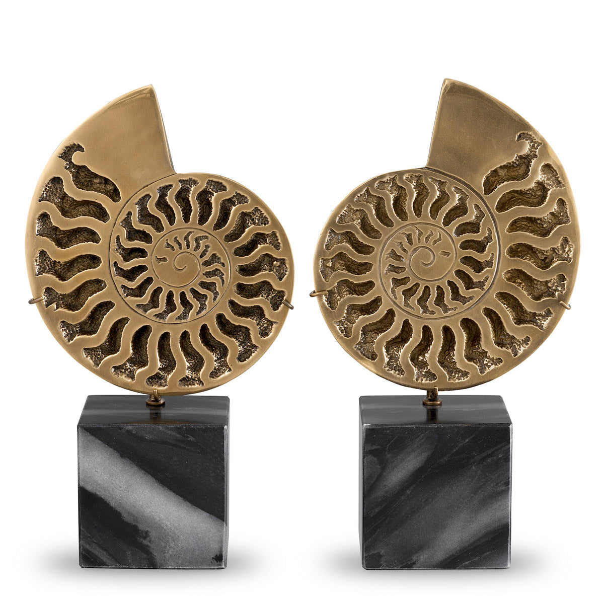 Vintage Object Set (2) Ammonite | Eichholtz Miami