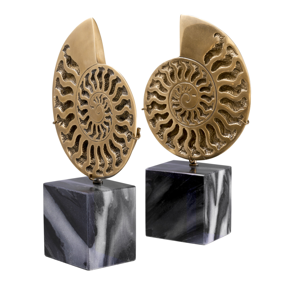 Vintage Object Set (2) Ammonite | Eichholtz Miami