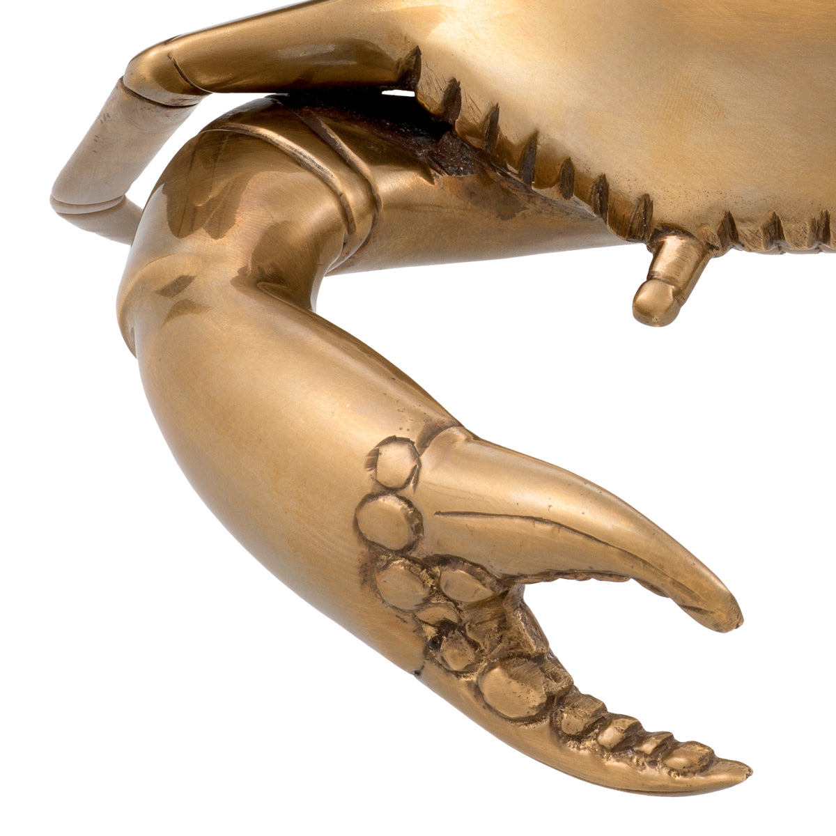 Brass Deco Object Crab | Eichholtz Miami