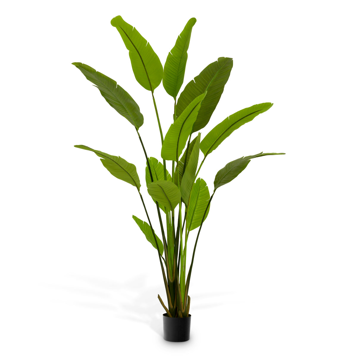 Green Artificial Plant Strelitzia | Eichholtz Miami