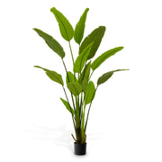 Green Artificial Plant Strelitzia | Eichholtz Miami