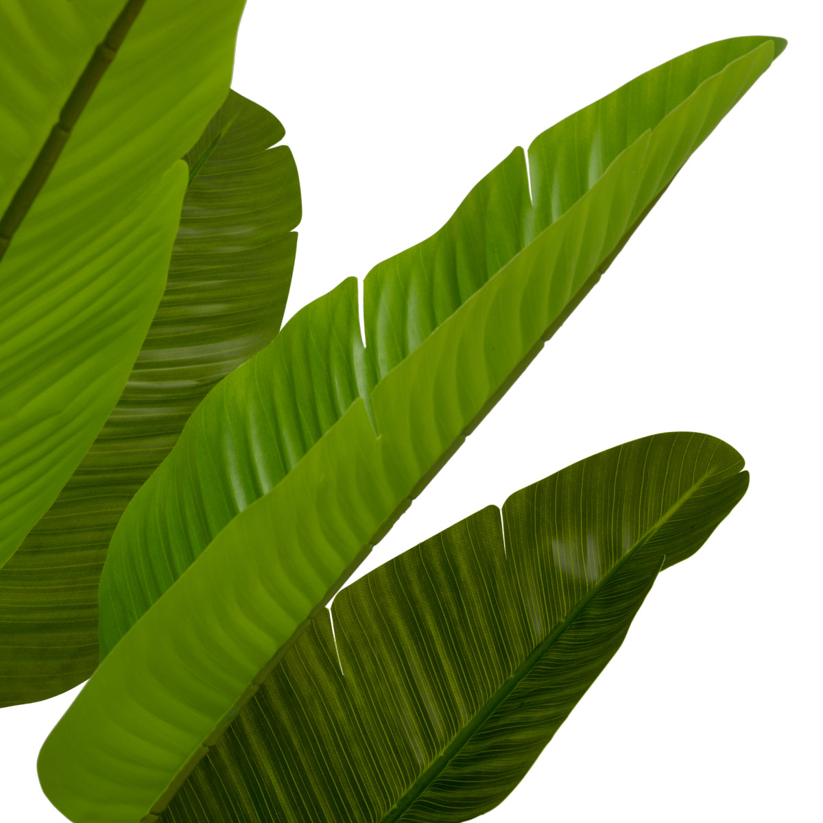 Green Artificial Plant Strelitzia | Eichholtz Miami