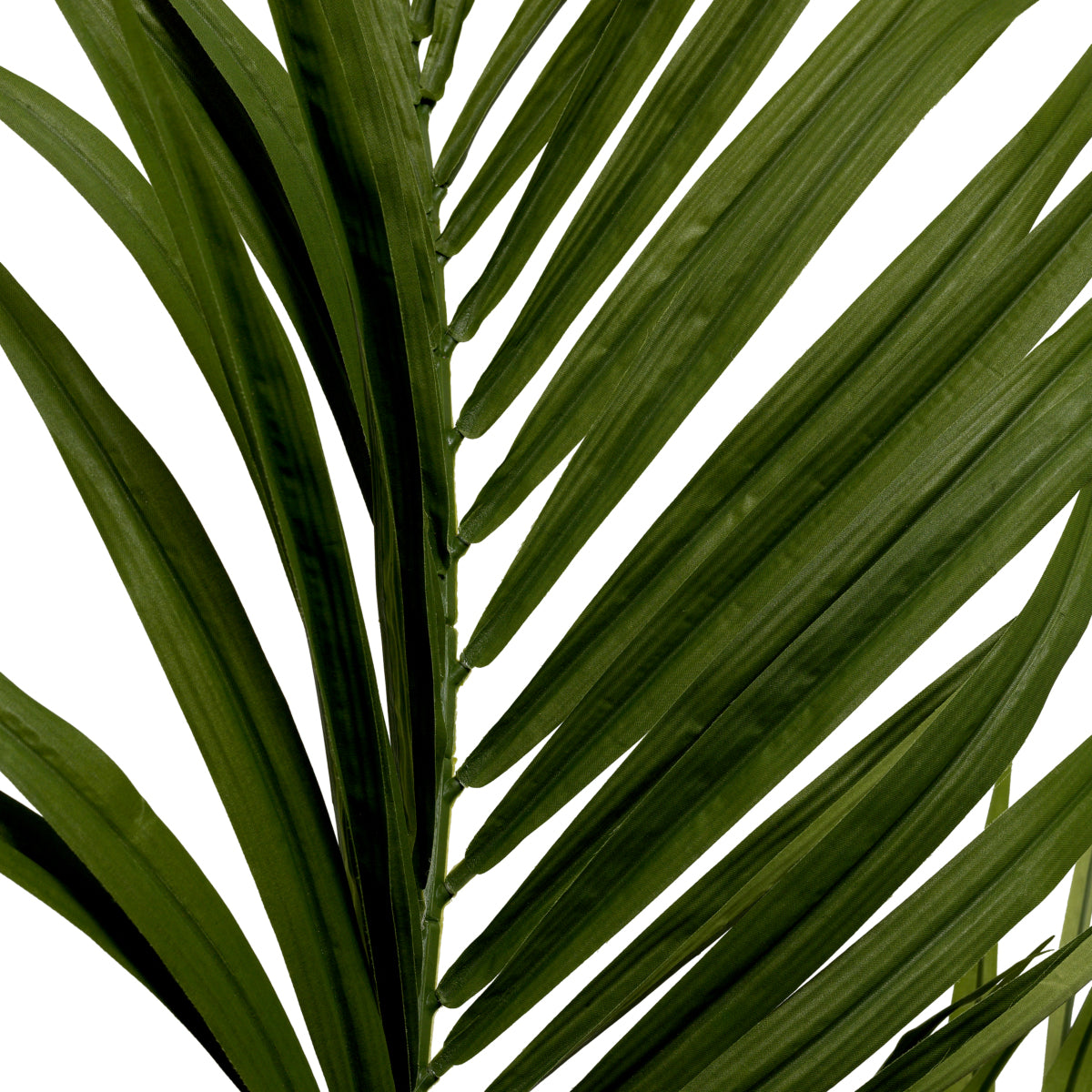 Green Artificial Plant Kentia Palm | Eichholtz Miami