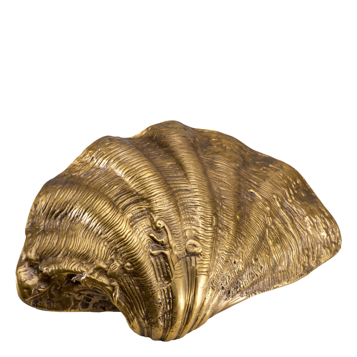 Brass Shell Decor Object Amandine | Eichholtz Miami