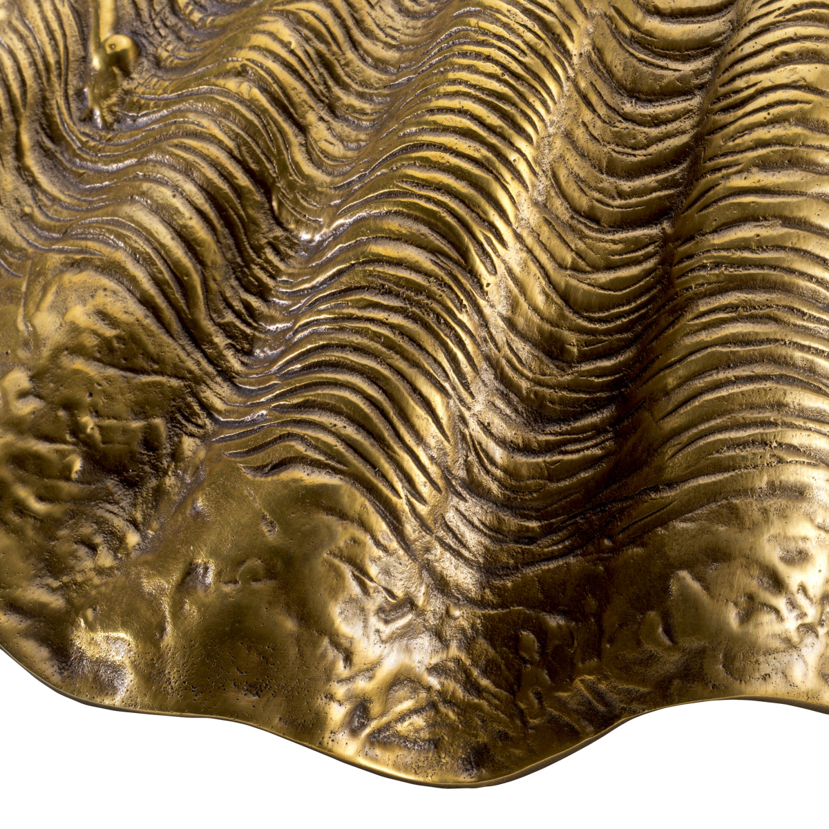 Brass Shell Decor Object Amandine | Eichholtz Miami