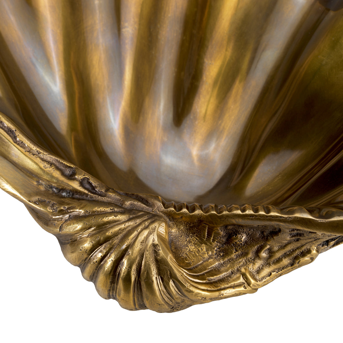 Brass Shell Decor Object Amandine | Eichholtz Miami