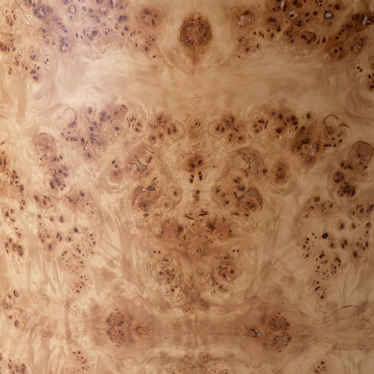 Light Brown Burl Chair Arcadia | Eichholtz Miami