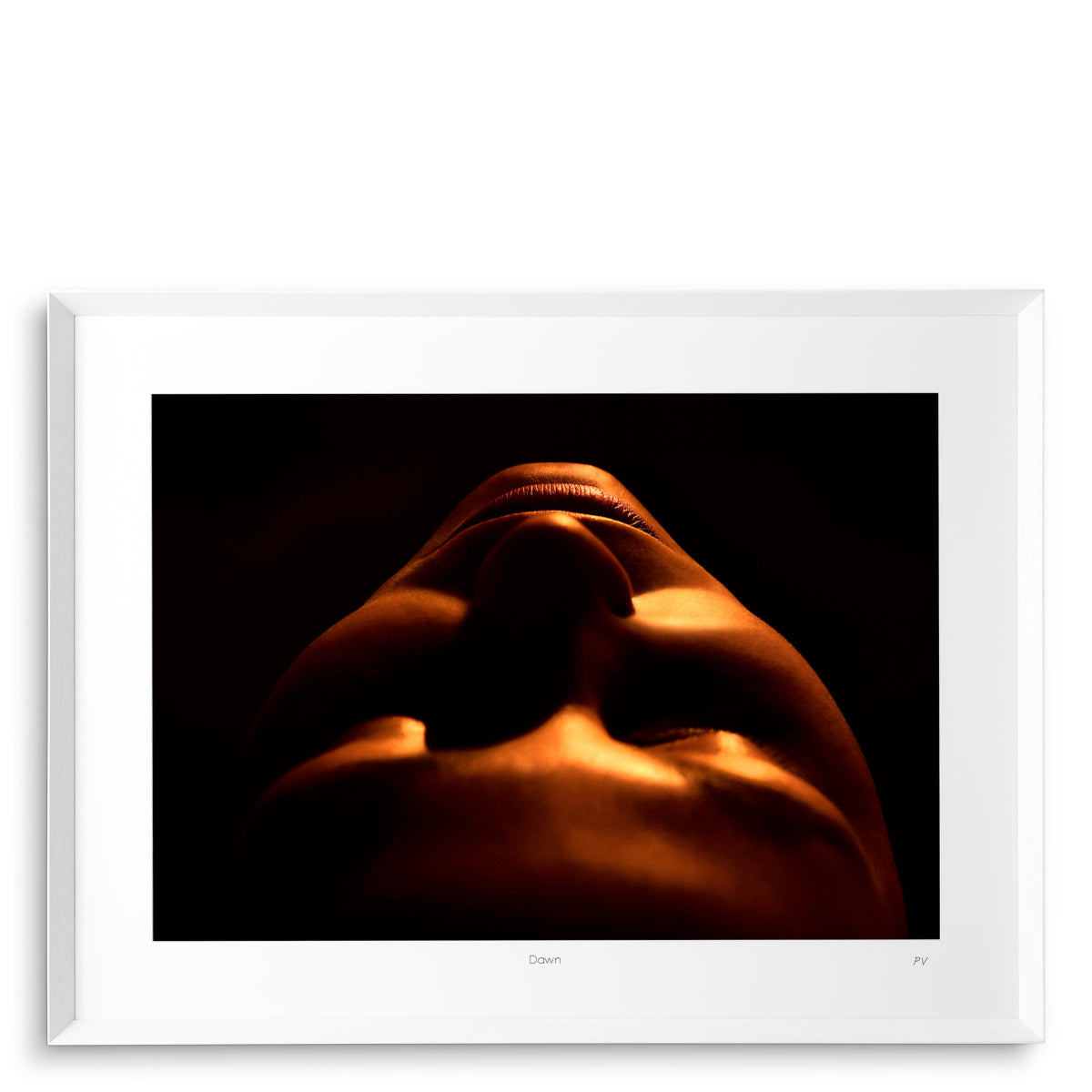 Shadowy Face Art Print Vogelenzang | Eichholtz Miami