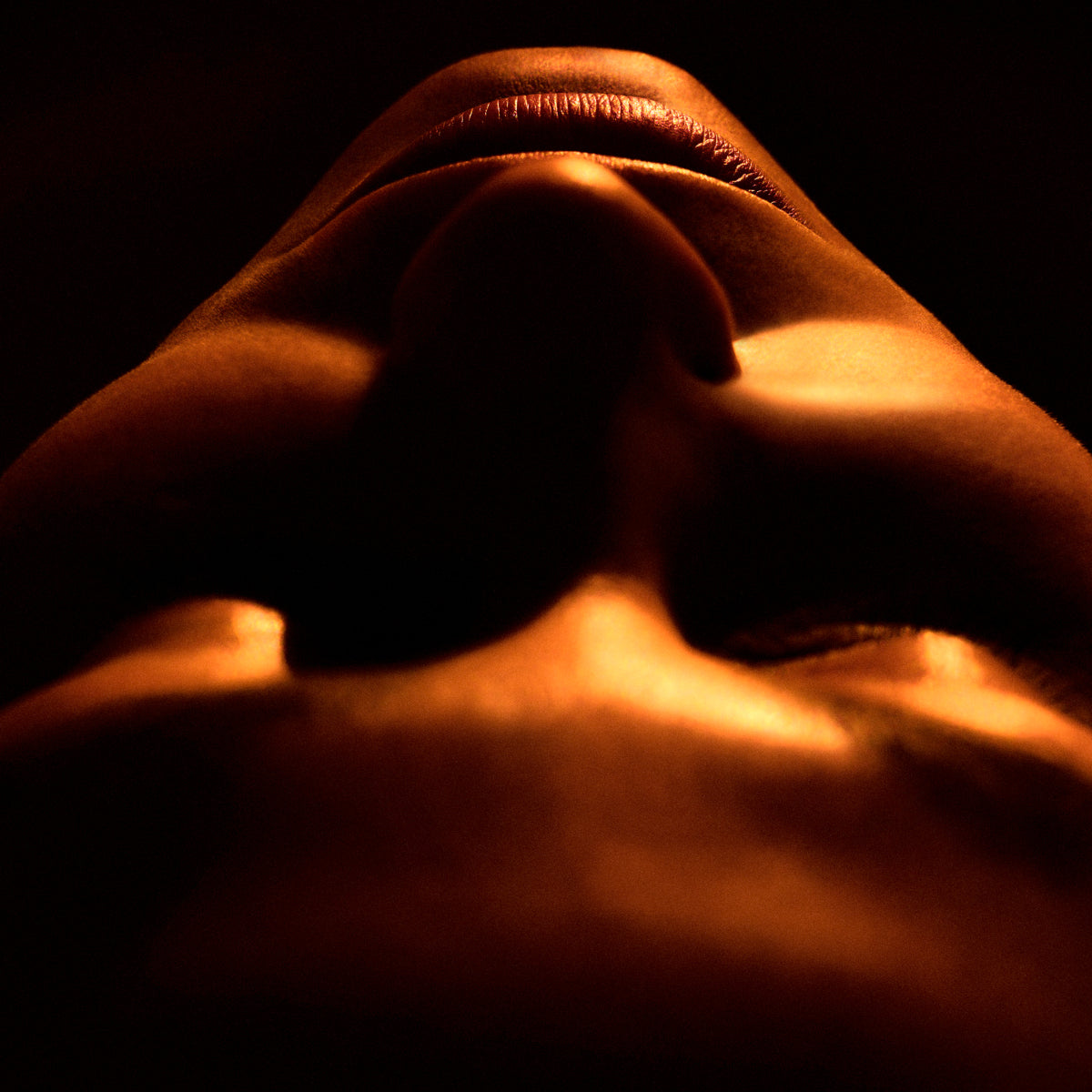 Shadowy Face Art Print Vogelenzang | Eichholtz Miami