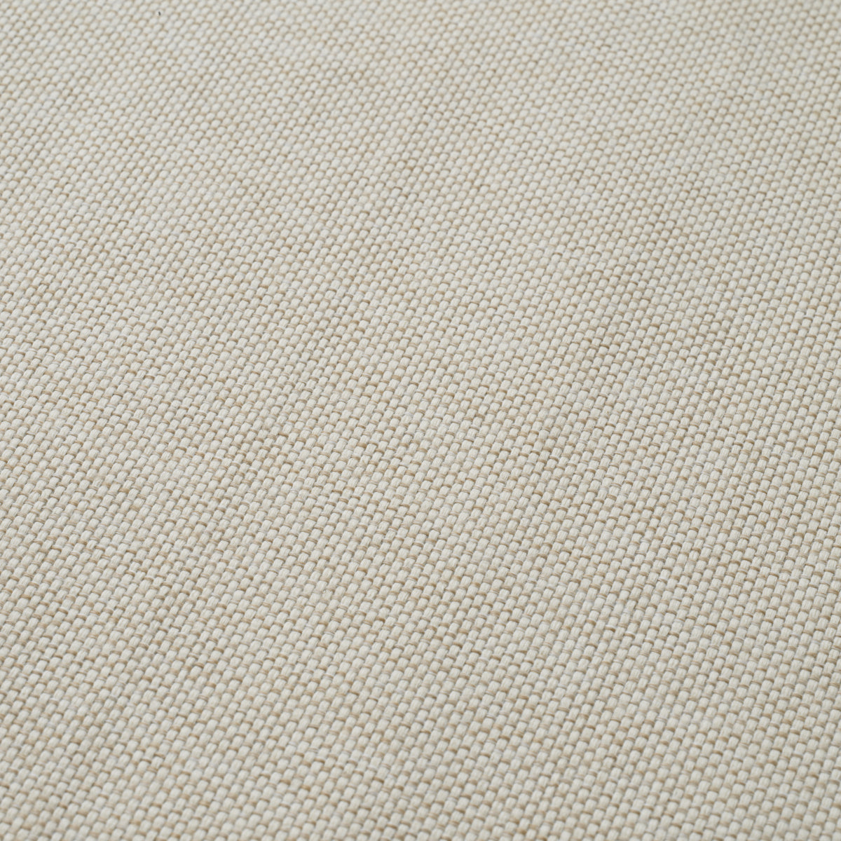 Rattan Look Outdoor Dining Chair Nolan | Eichholtz Miami