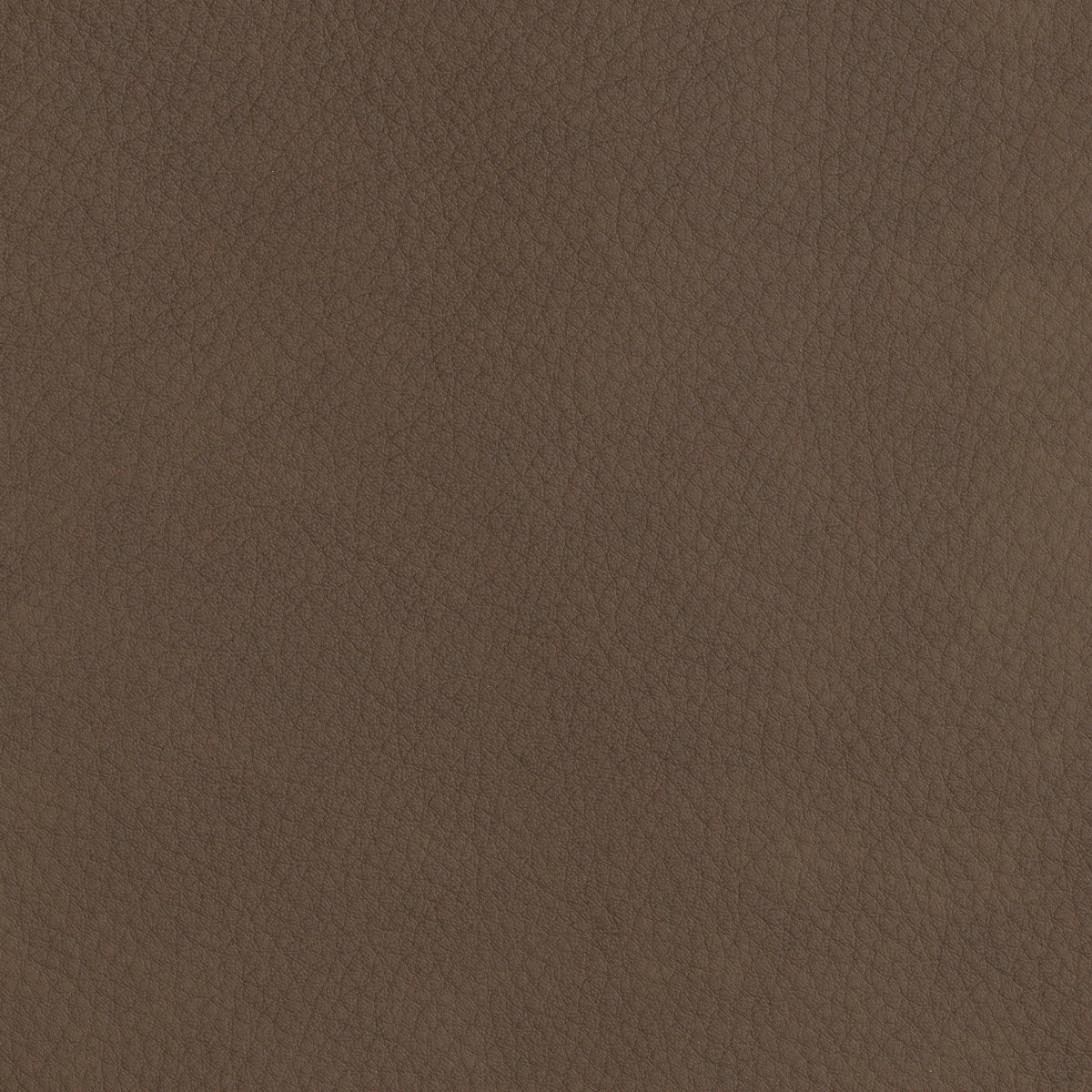 Leather Upholstered Counter Stool Donato | Eichholtz Miami