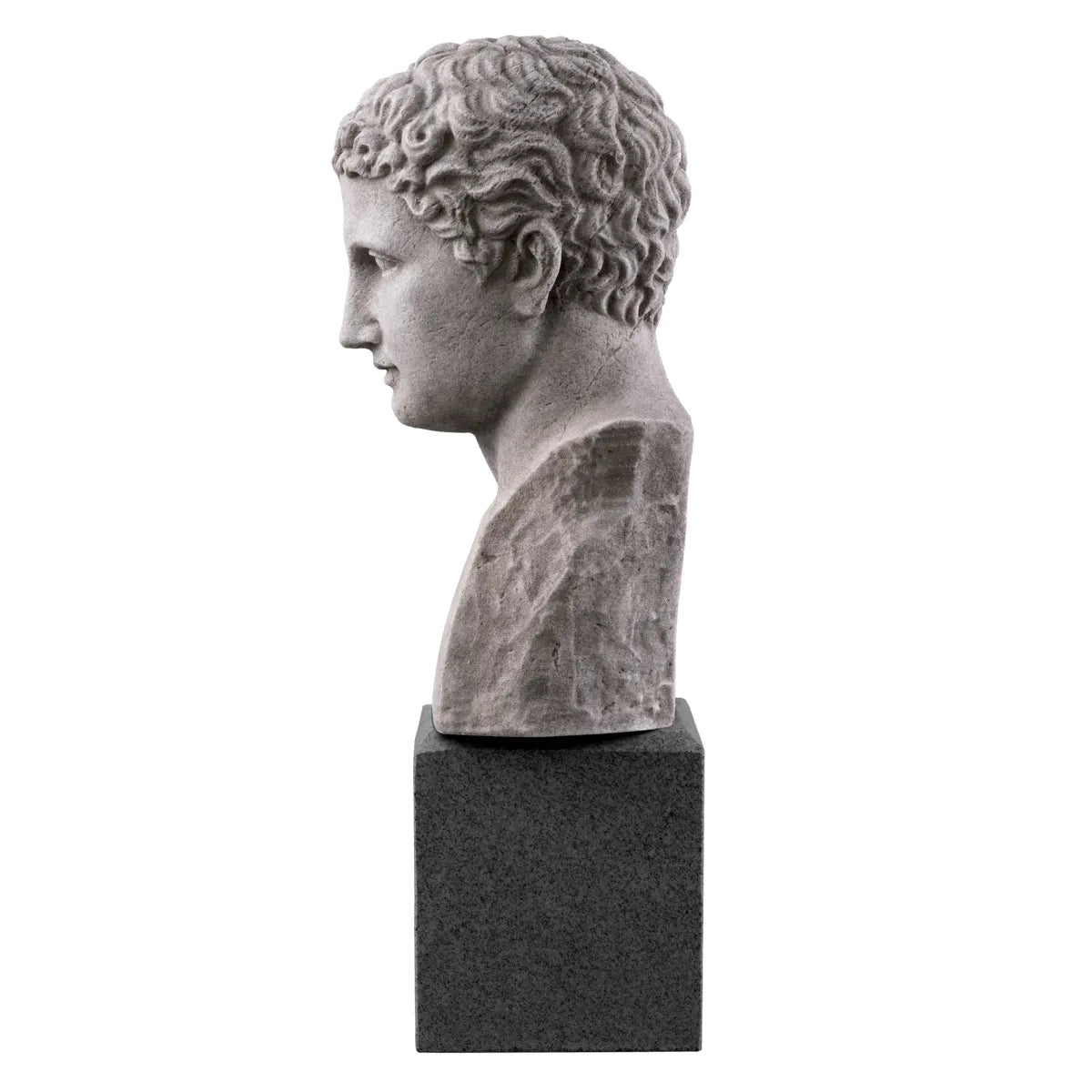 Marble Statue Bust Roman Imperial | Eichholtz Miami