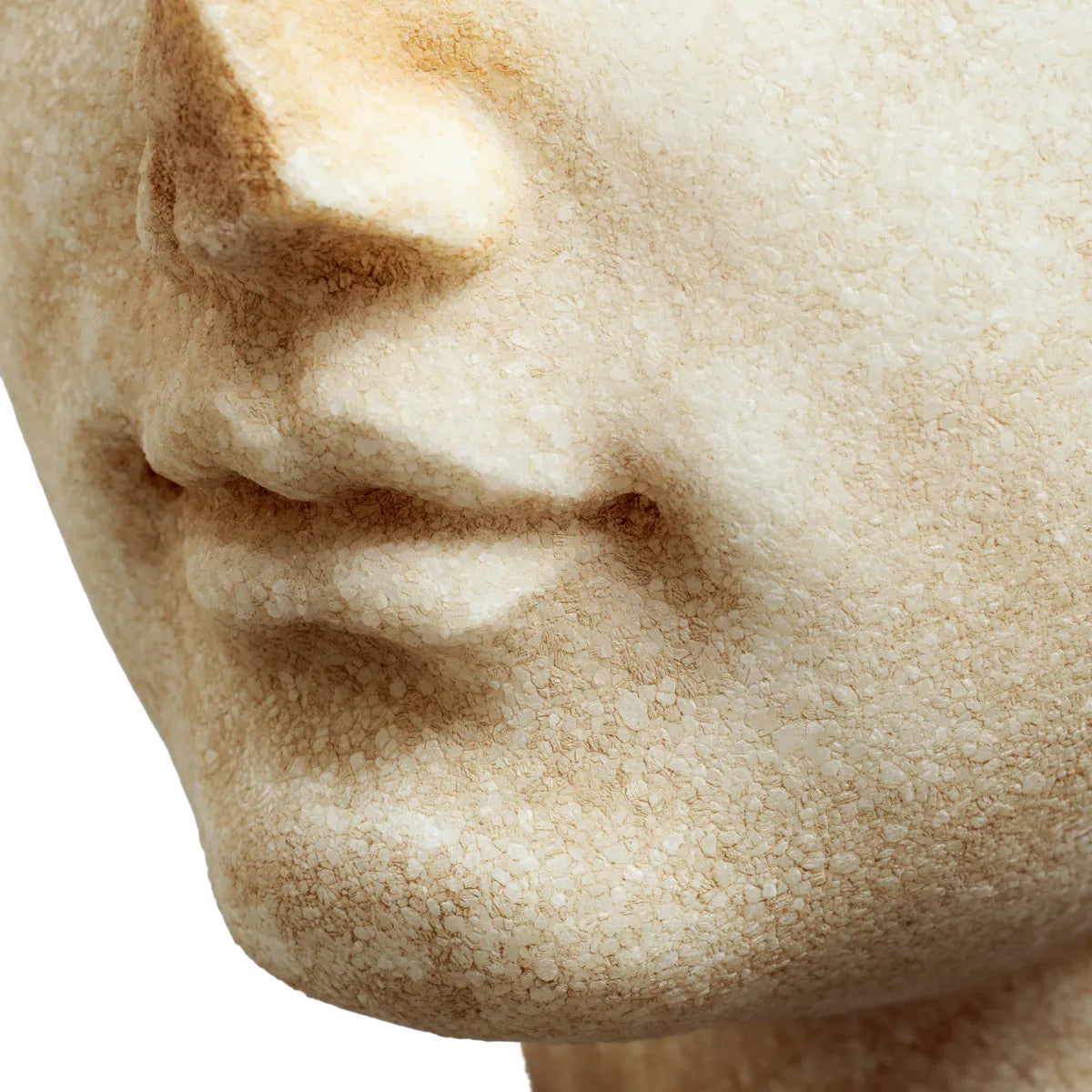 Roman Head Sculpture Bust of a Youth | Eichholtz Miami